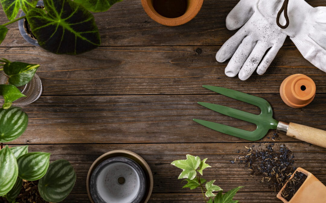 Jardinería profesional en Figueres: tu oasis empieza en casa